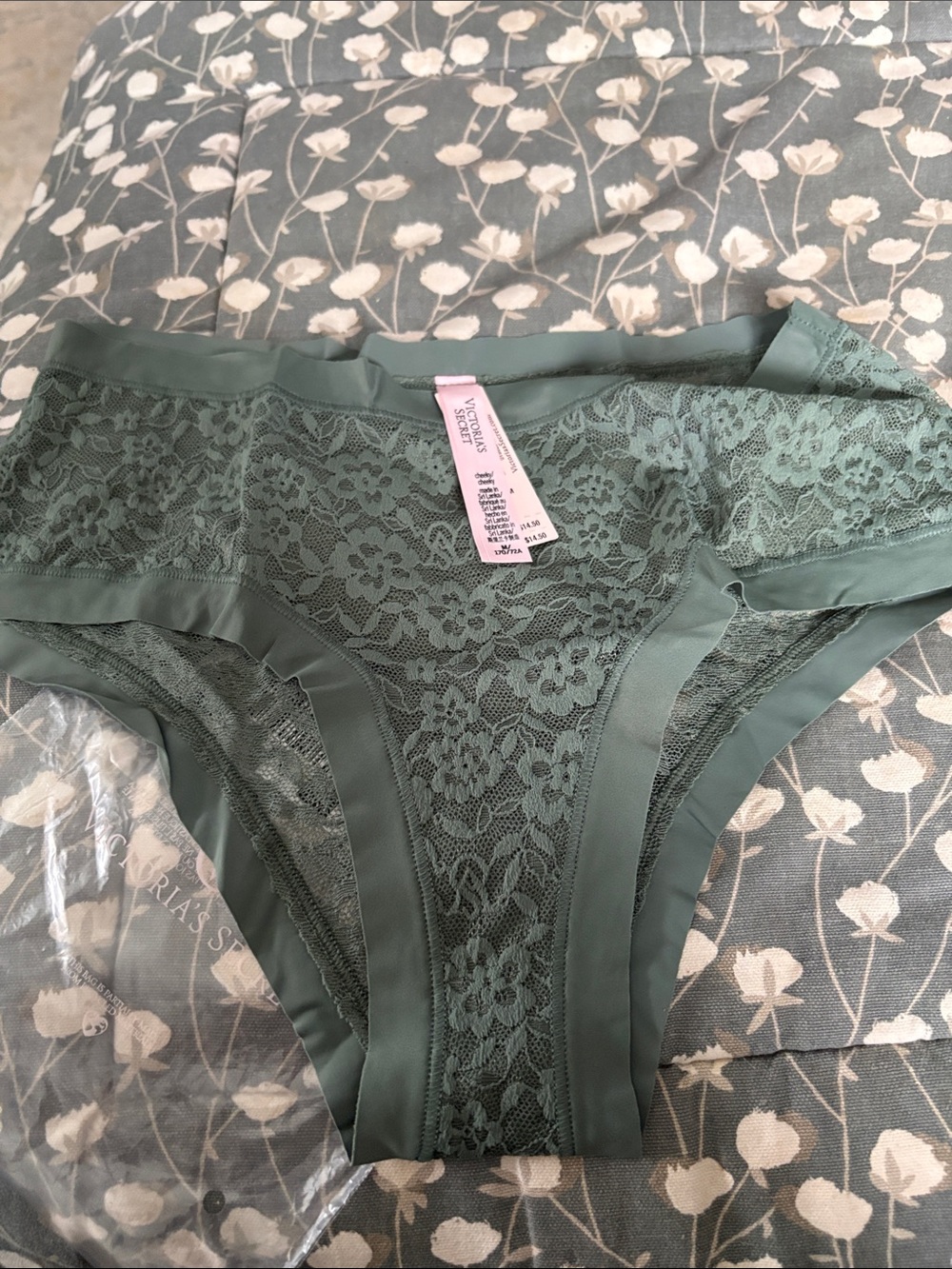 7️⃣2️⃣1️⃣ Victoria's Secret Lace Hipster Panty in Sage Green